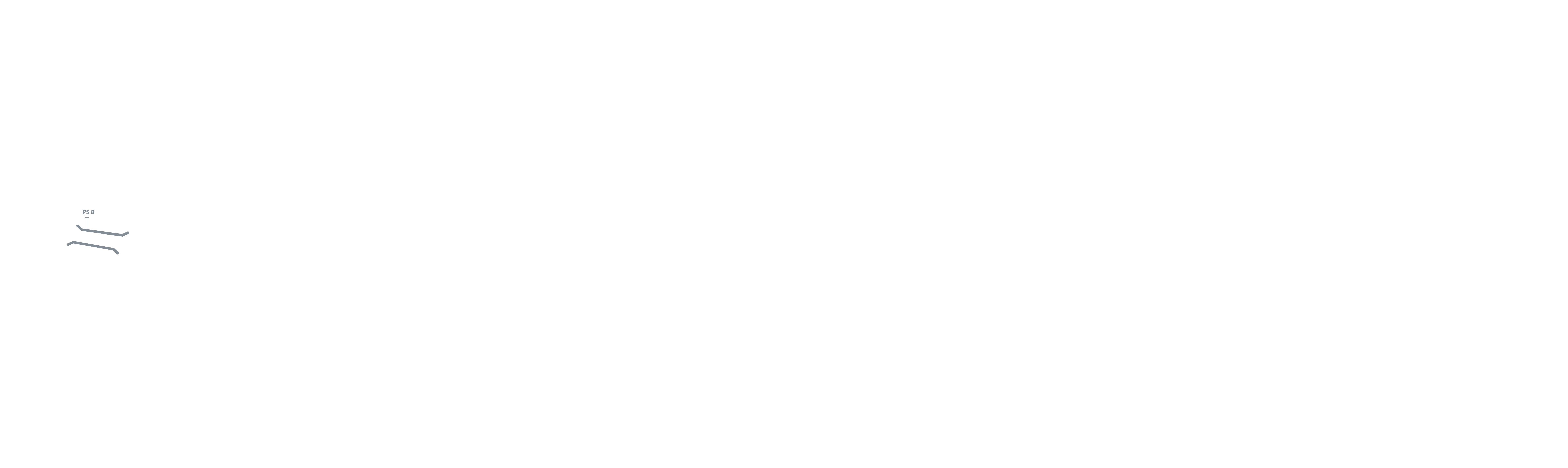 PS